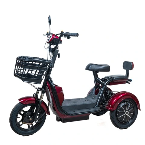 Xe điện 3 bánh CT08