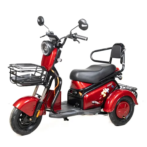 Xe điện 3 bánh nhỏ gọn CT08