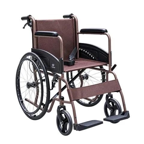 Xe lăn người già CTcare 809